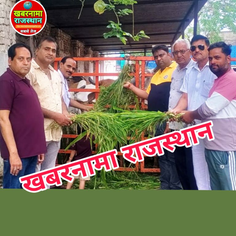 देवली, लोकसभा प्रतिपक्ष के नेता राहुल गांधी के जन्मदिन पर देवली कांग्रेस के अध्यक्ष सौरभ जिंदल क