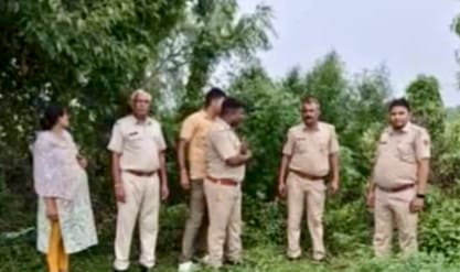 पुलिस ने जब्त किए 15.35 किलो गांजे के हरे पौधे