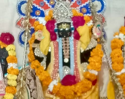 देवली ,अमरवासी गांव स्थित श्रीचारभुजा व सालिग्राम भगवान के मंदिर में पकौड़ी और हलवे (पौष बड़े) का भ�