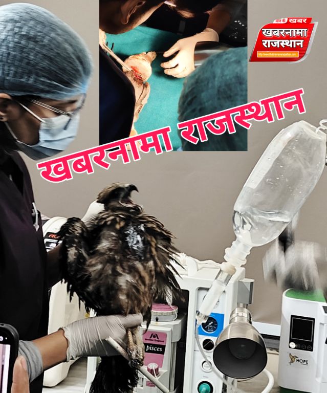 देवली,वेटरनरी महाविद्यालय आर. आर. द्वारा जयपुर में आयोजित पक्षी उपचार शिविर सप्ताह के तीसरे दिन छ