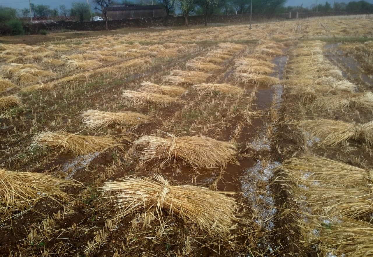 देवली ,क्षेत्र में सोमवार को मौसम ने अचानक करवट बदली और शाम ढलते-ढलते बादलों की तेज गड़गड़ाहट के स�
