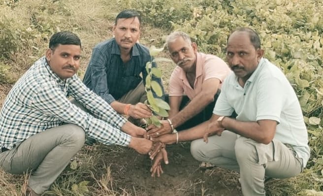 देवली,उप परिवहन कार्यालय के भूखंड परिसर में पौधारोपण किया