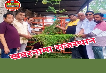 देवली, लोकसभा प्रतिपक्ष के नेता राहुल गांधी के जन्मदिन पर देवली कांग्रेस के अध्यक्ष सौरभ जिंदल क