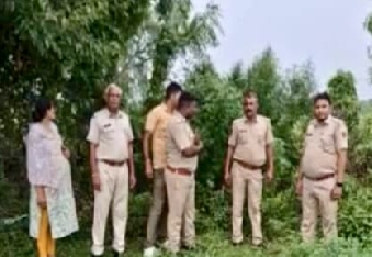 पुलिस ने जब्त किए 15.35 किलो गांजे के हरे पौधे