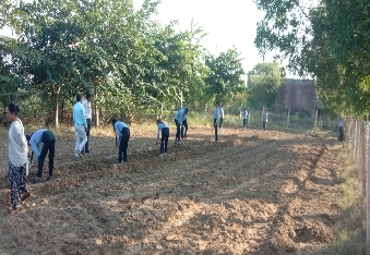 देवली , पं दीनदयाल उपाध्याय कृषि महाविद्यालय देवली में सोमवार को महाविद्यालय परिसर में छात्रों 