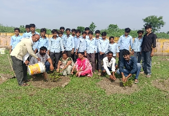 पनवाड़ खेल मैदान में विद्यार्थियों ने लगाएं दर्जनों पौधे